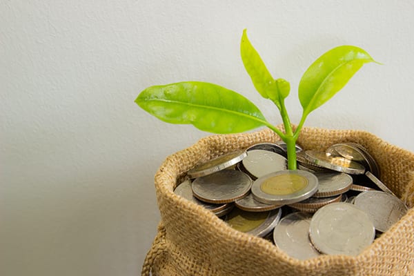 plant sprouting in a money bag indicating financial success